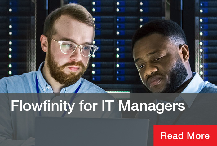 IT Managers